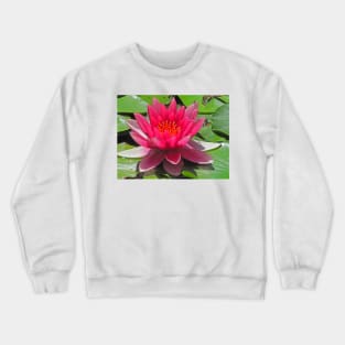 Abbotsbury Water Lily Crewneck Sweatshirt